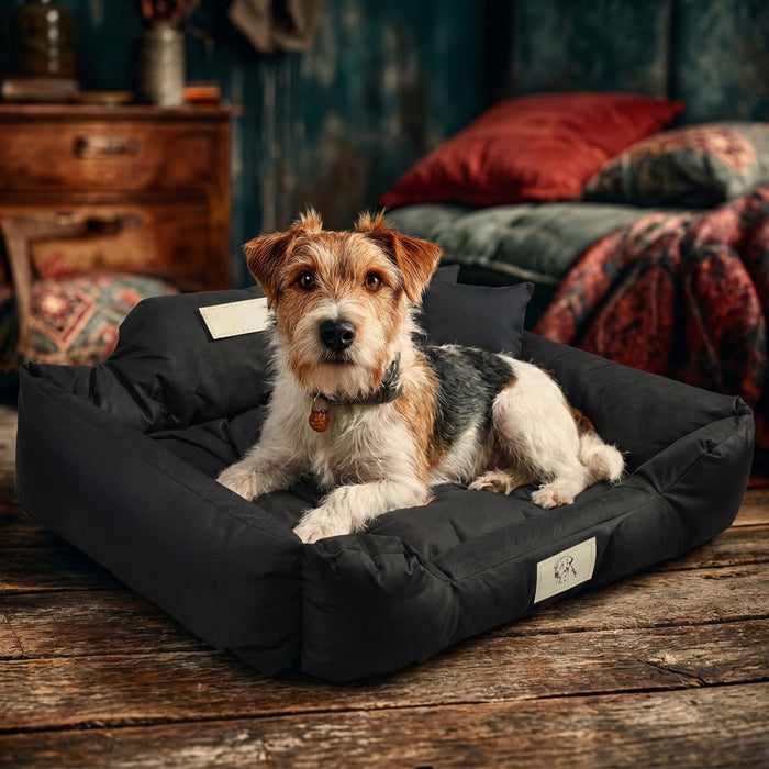 GreenBlue Pet Bed, black, rectangular, external dimensions: 75x65 cm, internal dimensions: 60x50 cm GB241 BL