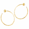 Hammered Post Earrings in Gold (1")