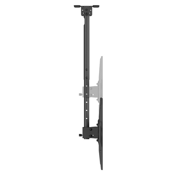 Maclean Ceiling Mount for TV, max. load 50 kg, 37–75", max. VESA 400x400, MC-175