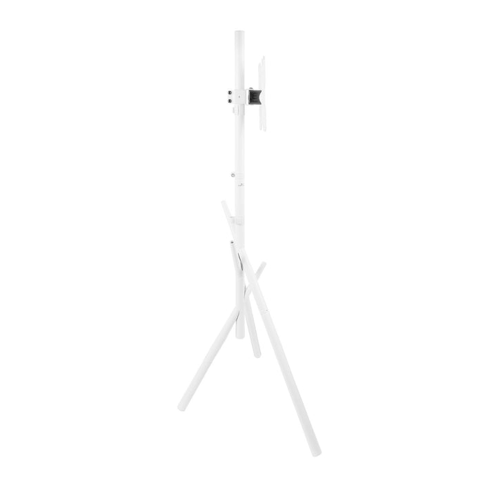 Maclean TV Floor Stand/Mount, 27–55", max. VESA 200x200, max. 60 kg, MC-181 W