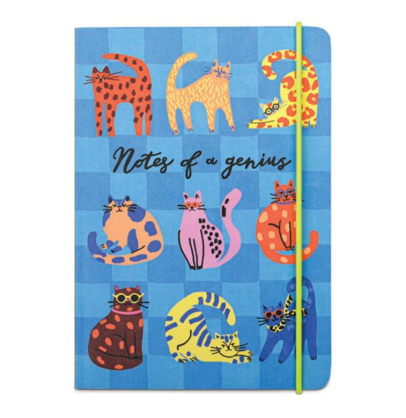 Notes of a Genius Notebook